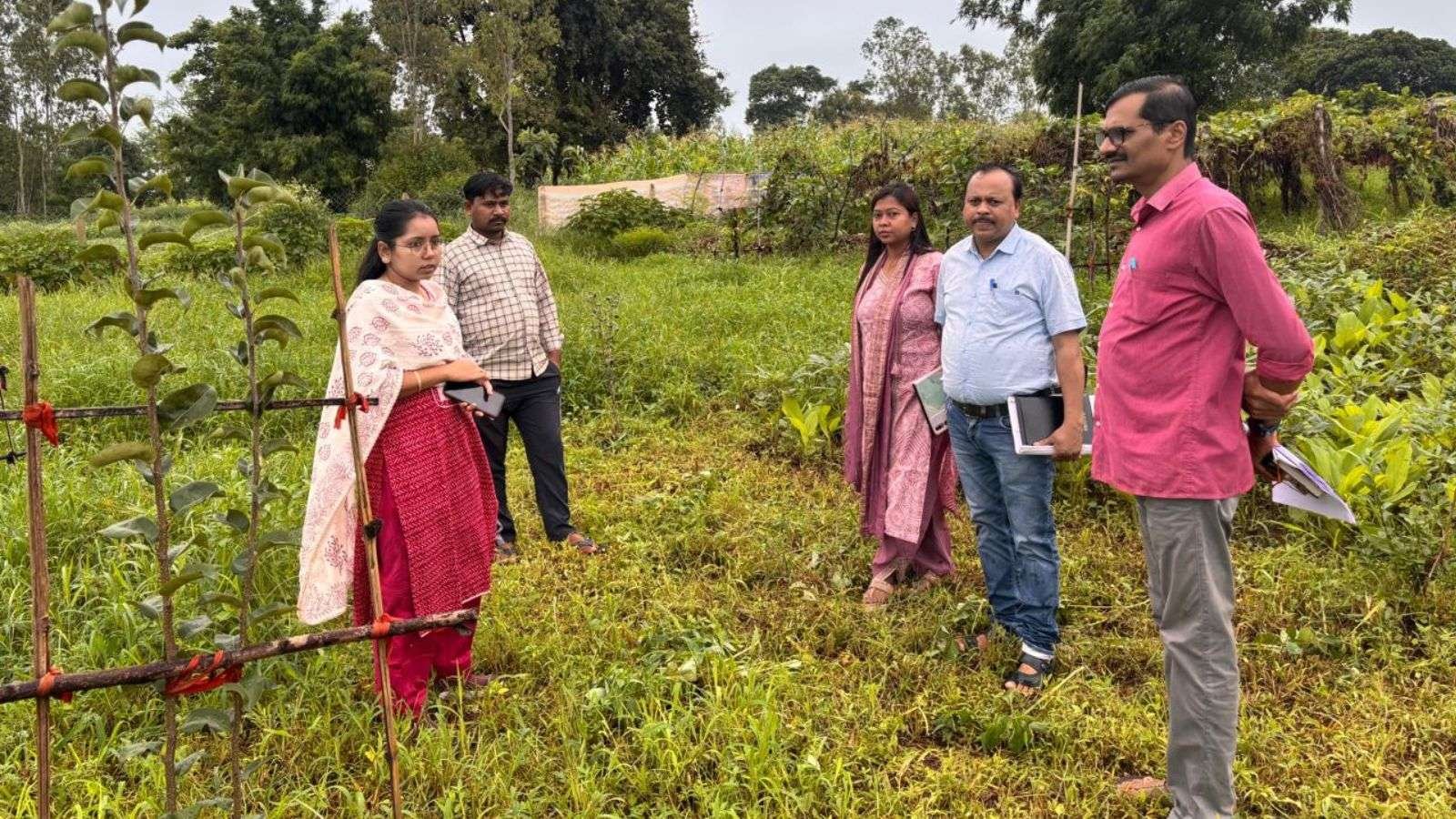 जन विश्वास अभियान के तहत जिला पंचायत सीईओ ने अचलपुर और वृंदावन का किया निरीक्षण